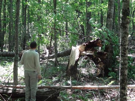 Kiva Microburst July 29 2012