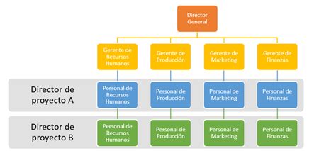 Estructura Organizacional Qu Es Ejemplos Hot Sex Picture