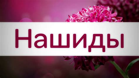 Нашиды - YouTube