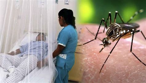 Se Han Reportado Casos Confirmados De Dengue En Las Provincias De