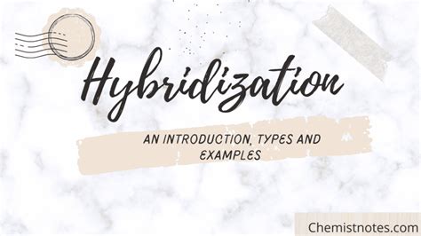 Hybridization Definition Types And Examples Chemistry Notes