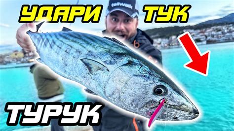 48 ЧАСА НОН-СТОП! Риболов на лефер, паламуд, баракуда, октоподи и ...