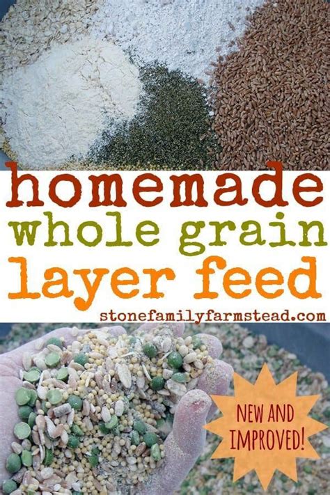 How To Make Chicken Feed For Layers 17 5 Nutrient Rich And Non GMO