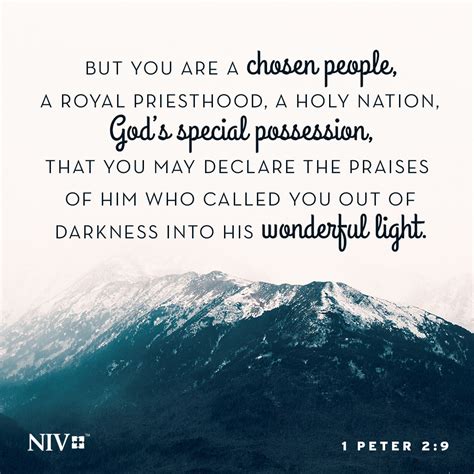 Niv Verse Of The Day 1 Peter 29