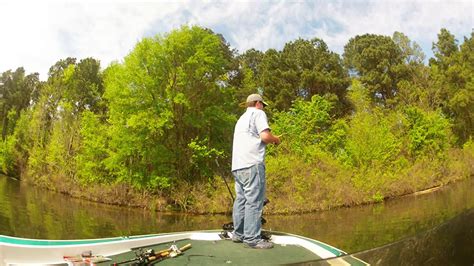 Lake Gilmer Bed Fishing Youtube