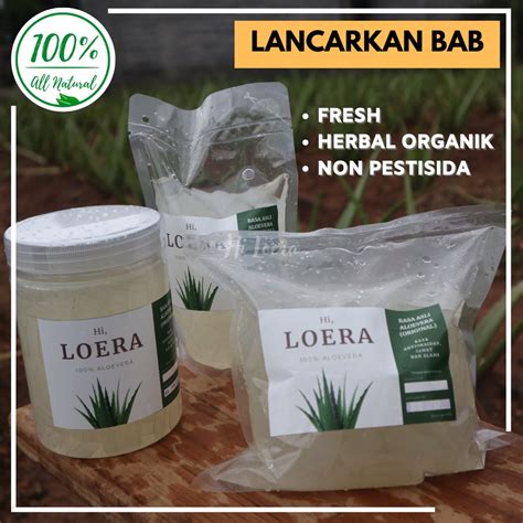 Jual Lidah Buaya Aloevera Aloe Vera Kupas Obat Herbal Asam Lambung Maag