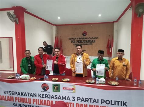 Hanura Pdi Perjuangan Dan Ppp Berkoalisi Di Pilkada Purwakarta