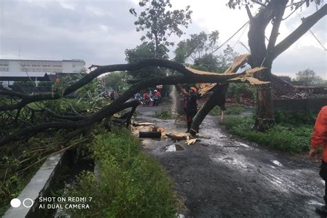 Bantul Dilanda Hujan Dan Angin Kencang Sebabkan 25 Titik Bencana