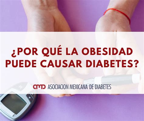 ¿por Qué La Obesidad Puede Causar Diabetes