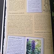 Herbario de plantas silvestres Larousse Libros Ilustrados Prácticos