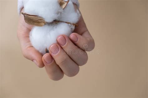 Stylish Nude Beige Female Nails On Neutral Beige Background Modern Trendy Stylish Beautiful