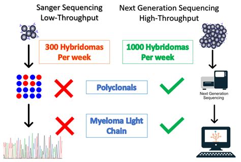 High Throughput Hybridoma Sequencing Abterra Biosciences