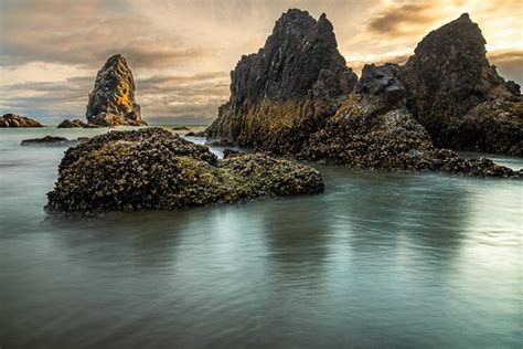 Haystack Rock Cannon Beach Greg Disch Photography