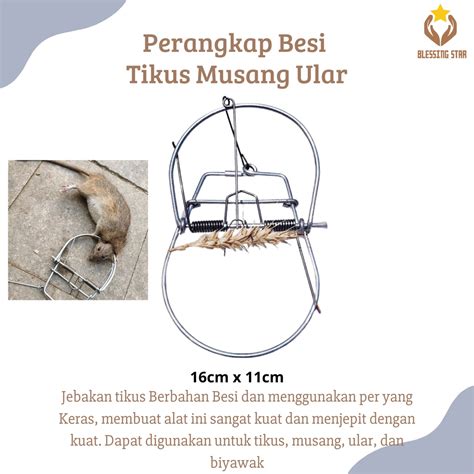 Jual Perangkap Tikus Besi Jepit Untuk Musang Biawak Ular Shopee Indonesia