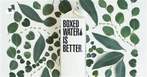 Boxed Water Carton Next To Intricately Arranged Green Leaves Photo