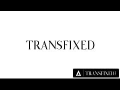 Transfixed Curvy Fitness Babe Sinn Sage Twerks On Ariel Demure S Rock Hard Trans Cock Xxx