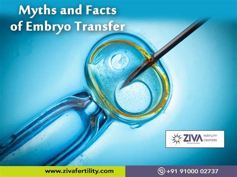 Myths And Facts Of Embryo Transfer Ziva Fertility