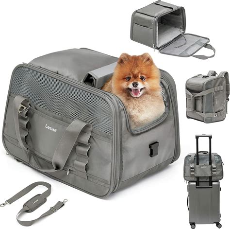 pet carrier airline dimensions  roxanne corley blog