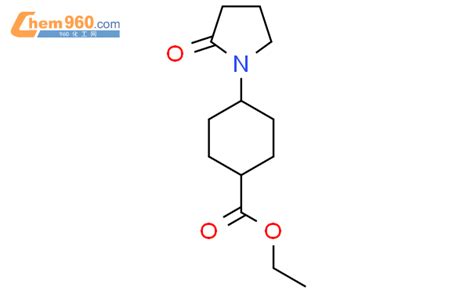 Oxo Pyrrolidin Yl Cyclohexanecarboxylic Acid Ethyl