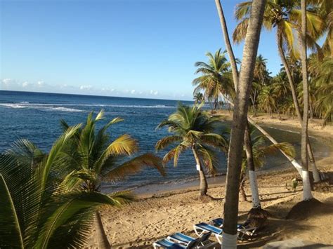 Caribe Playa - Picture of Caribe Playa Beach Hotel, Patillas - TripAdvisor