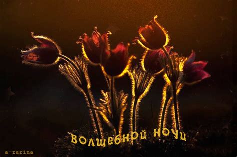 Анимационная картинка, открытка волшебной ночи. Гиф # 211209