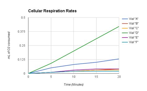 Rate Of Cellular Respiration