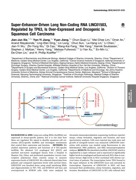 Pdf Super Enhancer Driven Long Non Coding Rna Linc Regulated By