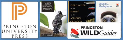 Save 25 On All Princeton University Press Books Hoopoe A Blog By Nhbs