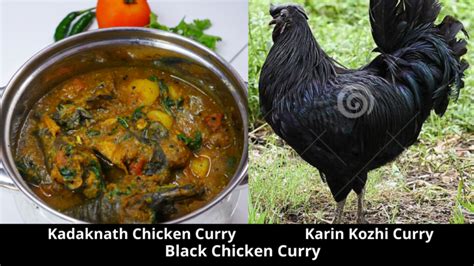 Kadaknath Chicken Curry Recipe Karin Kozhi Curry Recipe Black