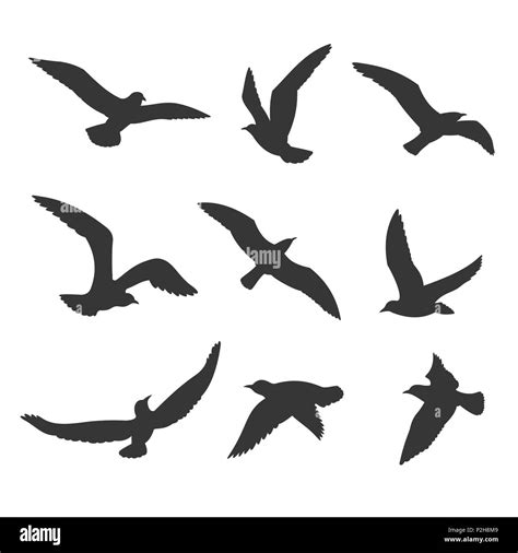 Les Oiseaux En Plein Vol Silhouette Vector Set Image Vectorielle Stock