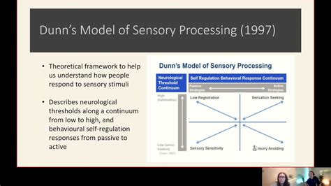 Dunns Model Of Sensory Processing Youtube