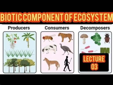 BIOTIC COMPONENT OF ECOSYSTEM LEC 03 Environment Allen Rule Glogger