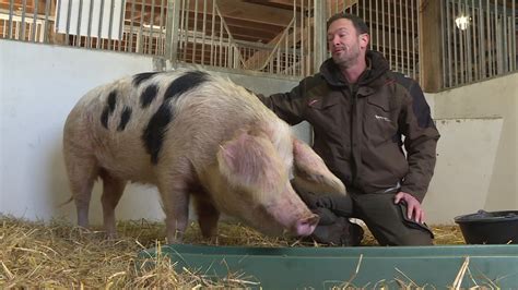 Salon de l agriculture 2024 Samantha porc de Bayeux décroche le