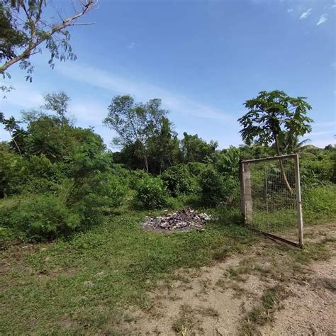 Sqm Residential Lot For Sale In Mayacabac Dauis Bohol Lot