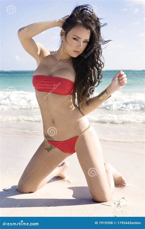 Reizvolles Brunette Baumuster Im Roten Bikini Stockfoto Bild Von