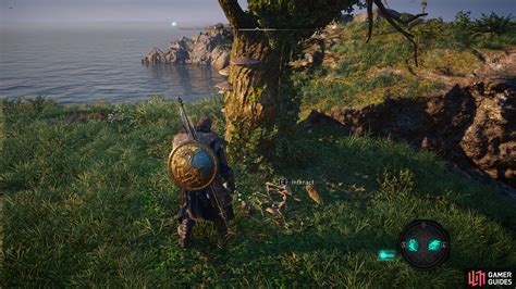 Legendary Hoard Treasure Locations Legendary Hoard Dawn Of Ragnarök