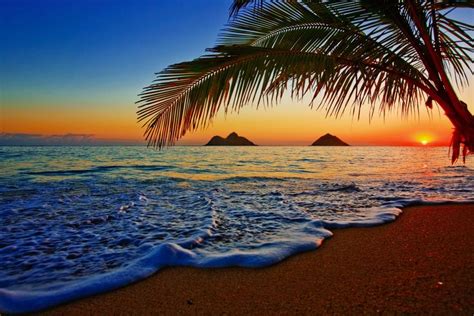 Pacific Sunrise Escape To A Tropical Oasis With Lanikai Beach Oahu