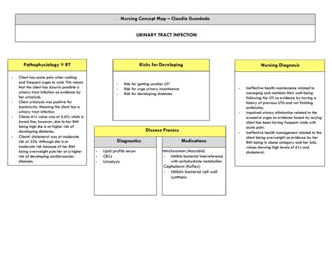 Nursing Concept Map Week 6 PDF Nursing Concept Map Claudia