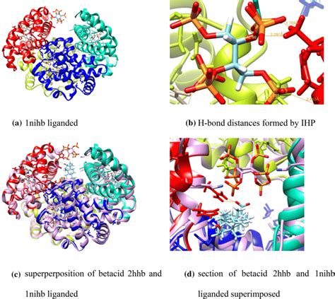 Structural Comparison Between 1nihb Liganded With Ihp And 2hhb Liganded Download Scientific