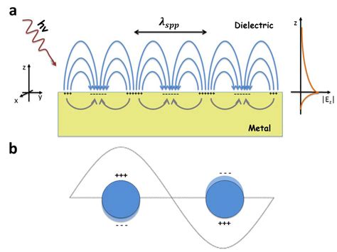 Schematic Diagrams Illustrating A A Surface Plasmon Polariton Or