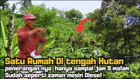 NEKAT HIDUP DI TENGAH HUTAN SENDIRIAN JAUH DARI TETANGGA YouTube