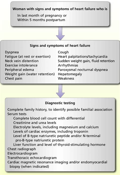 Evaluation Of Peripartum Cardiomyopathy Download Scientific Diagram