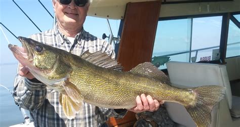 Big Walleyes Lake Superior Fishing Optimum Charters