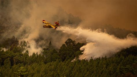 INCENDIO TENERIFE Seis Bulos Sobre Los Incendios Que Resurgen De Las