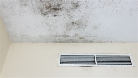 Is Mold On Air Vents Dangerous