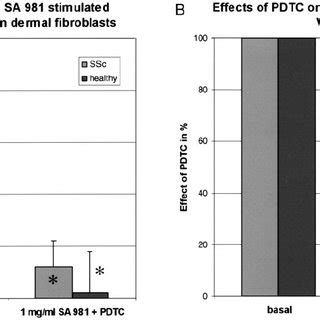 Effects Of The Nf B Inhibitor Pdtc On The Induction Of Vegf Mrna In