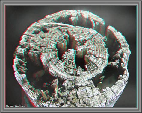 Natural Art Use Red Cyan 3d Glasses Photograph By Brian Wallace