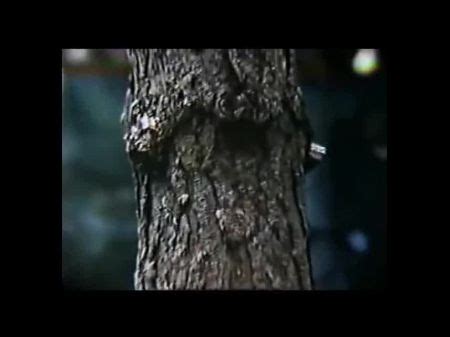 Insane Orgy Hotntubes Porn