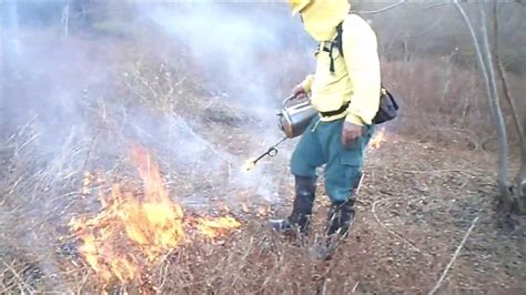 óleo de cozinha usado no pinga fogo nos treinamentos em incêndios