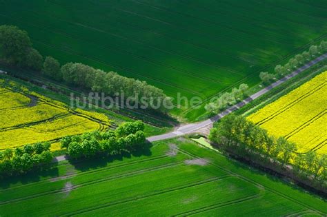 Sieversdorf Aus Der Vogelperspektive Feld Landschaft Gelb Bl Hender